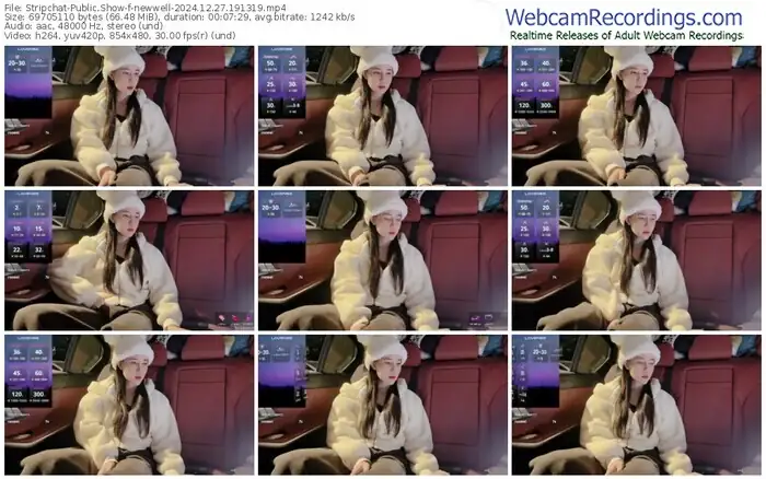 2024/12/27/stripchat-newwell-19-13-19