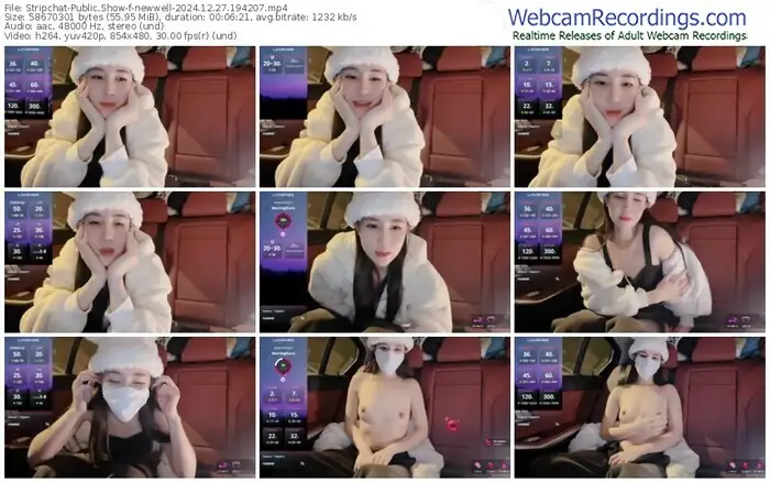 2024/12/27/stripchat-newwell-19-42-07