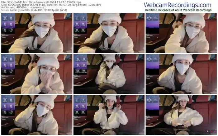 2024/12/27/stripchat-newwell-19-58-09