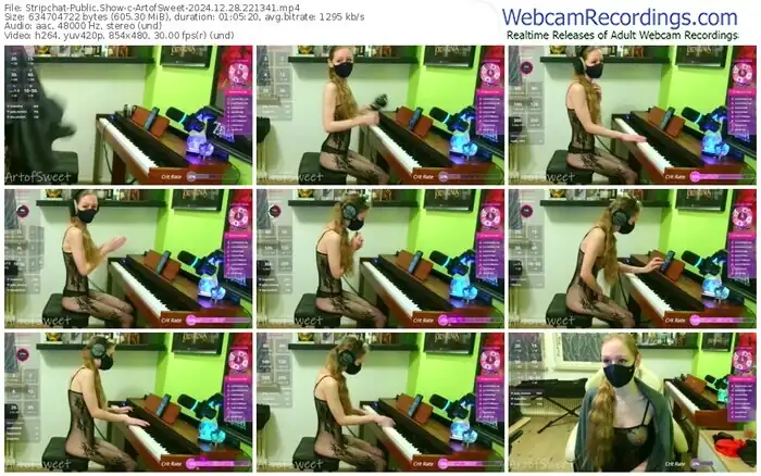 2024/12/28/stripchat-artofsweet-22-13-41