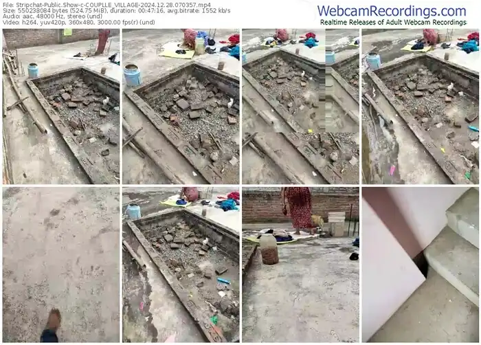 2024/12/28/stripchat-couplle_village-07-03-57