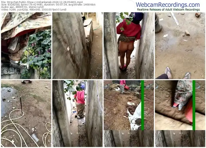 2024/12/28/stripchat-indiankanak-05-44-01
