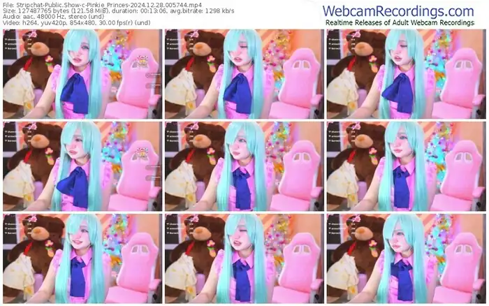 2024/12/28/stripchat-pinkie_princes-00-57-44