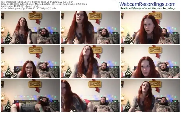 2024/12/28/stripchat-scarletpanes-02-40-01