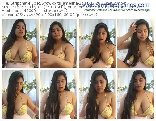 2024/12/28/stripchat-its_amesha-02-39-52