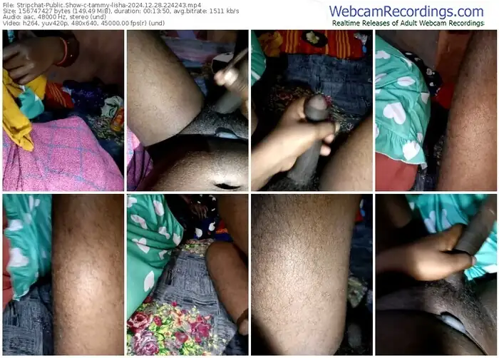 2024/12/28/stripchat-tammy-lisha-22-42-43