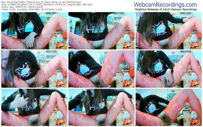 2024/12/28/stripchat-ace_of_devil-15-26-54