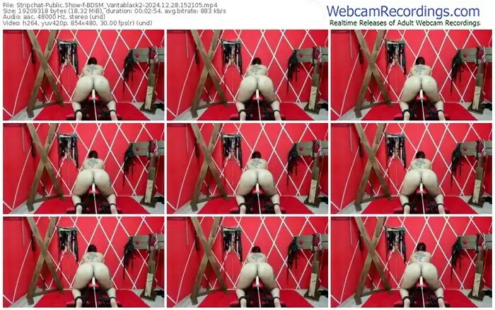 2024/12/28/stripchat-bdsm_vantablack2-15-21-05