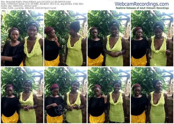 2024/12/28/stripchat-black_juicy24-06-46-19