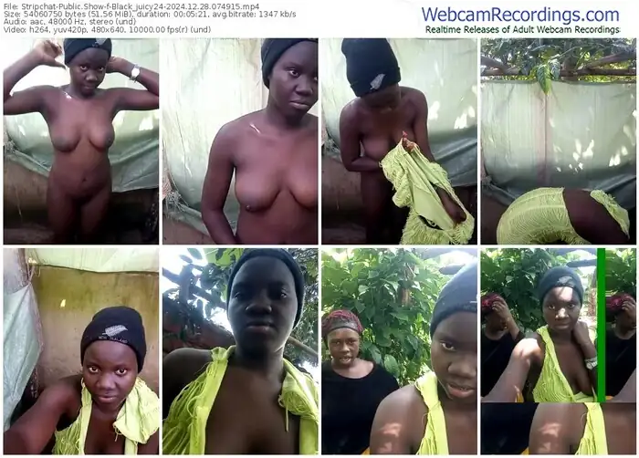 2024/12/28/stripchat-black_juicy24-07-49-15