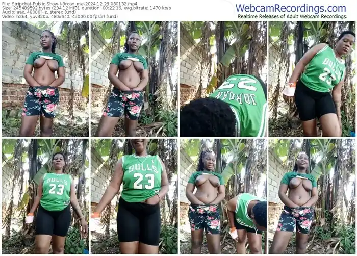 2024/12/28/stripchat-broan_me-08-01-32
