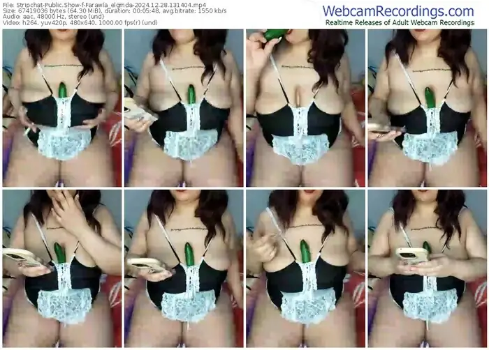 2024/12/28/stripchat-farawla_elgmda-13-14-04