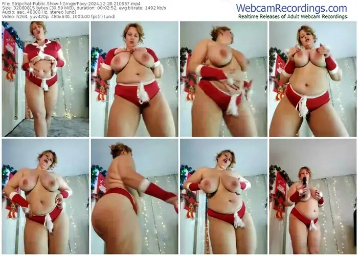 2024/12/28/stripchat-gingerfoxy-21-09-57