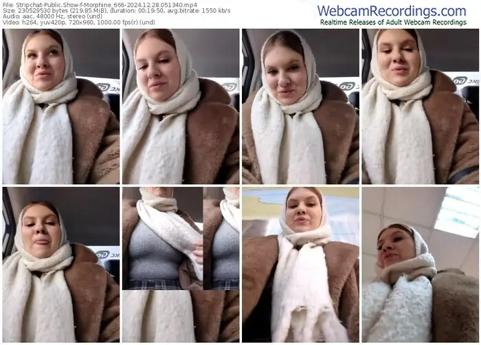 2024/12/28/stripchat-morphine_666-05-13-40