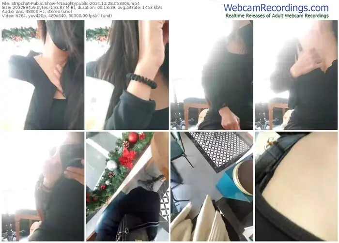 2024/12/28/stripchat-naughtypublic-05-33-06