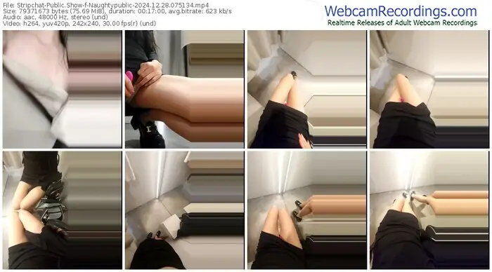 2024/12/28/stripchat-naughtypublic-07-51-34
