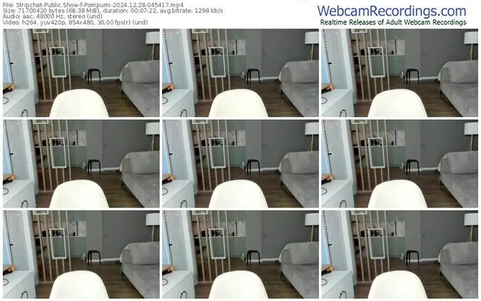2024/12/28/stripchat-pompumi-04-54-17