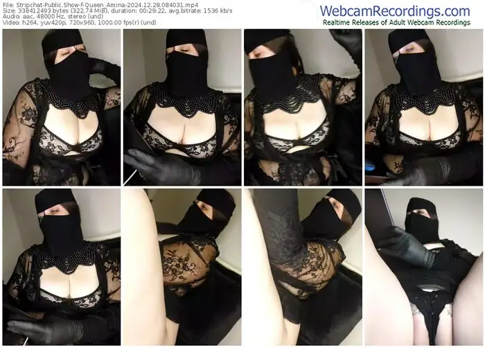2024/12/28/stripchat-queen_amina-08-40-31