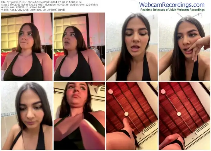 2024/12/28/stripchat-roseepark-21-16-07