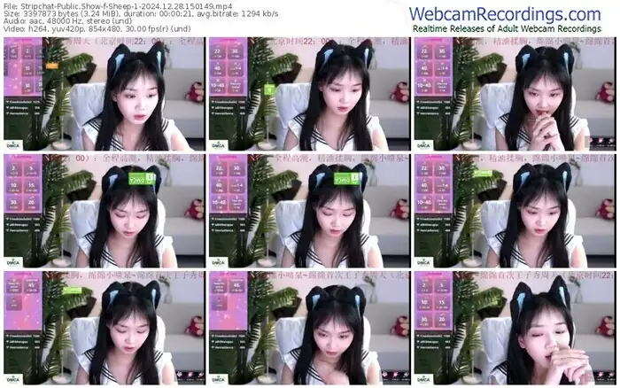 2024/12/28/stripchat-sheep-1-15-01-49