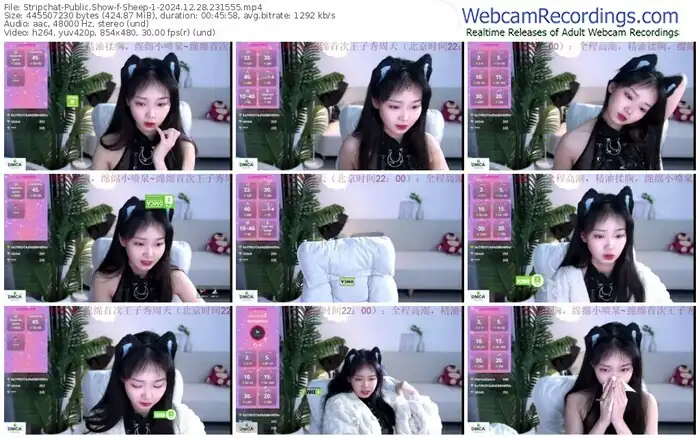 2024/12/28/stripchat-sheep-1-23-15-55