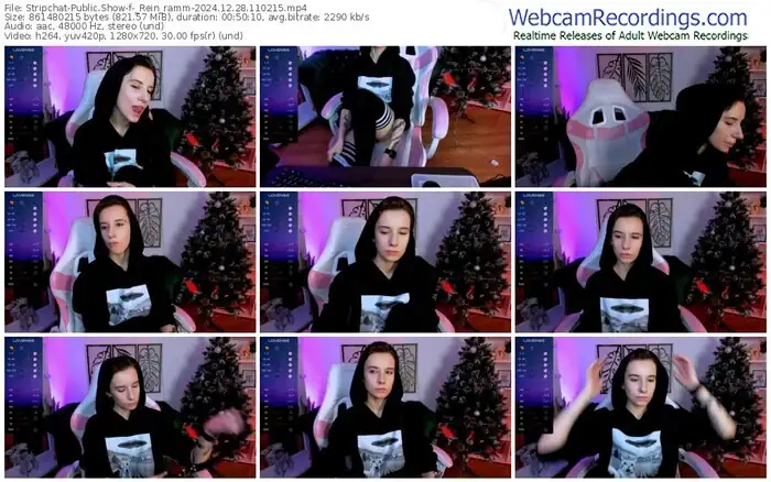 2024/12/28/stripchat-_rein_ramm-11-02-15