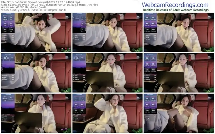 2024/12/28/stripchat-newwell-14-40-56