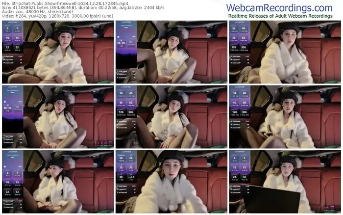 2024/12/28/stripchat-newwell-17-23-45