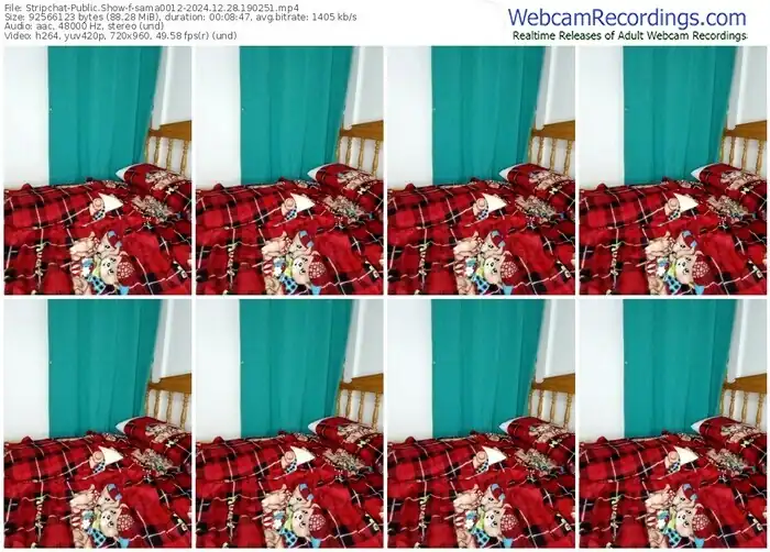 2024/12/28/stripchat-sama0012-19-02-51