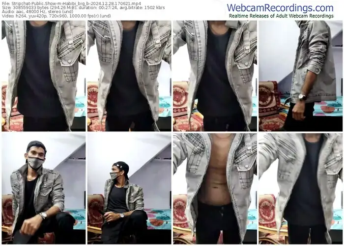 2024/12/28/stripchat-habibi_big_b-17-06-21