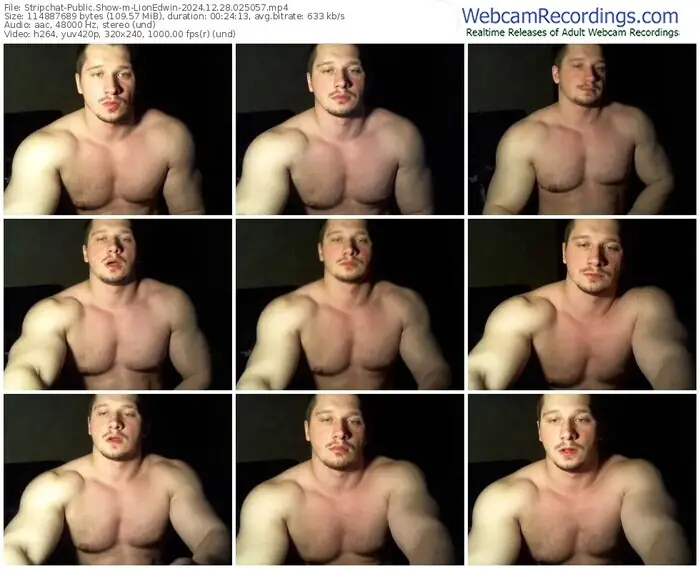 2024/12/28/stripchat-lionedwin-02-50-57