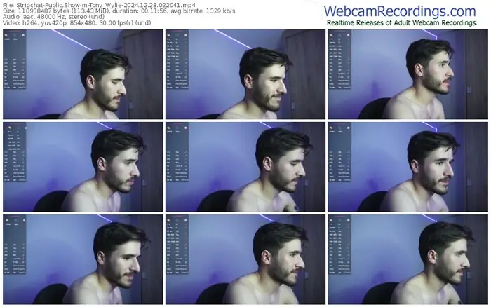 2024/12/28/stripchat-tony_wylie-02-20-41