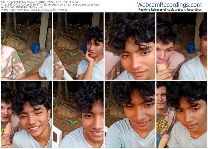 2024/12/28/stripchat-_ottis_-18-35-11