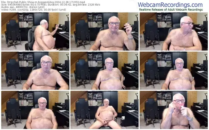 2024/12/28/stripchat-biggandybig-17-19-53