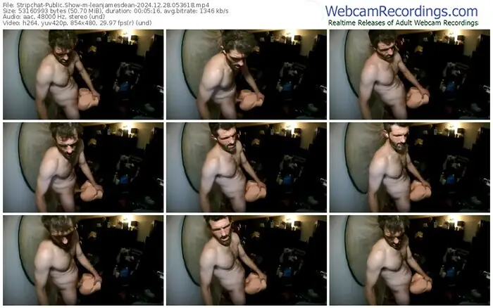 2024/12/28/stripchat-leanjamesdean-05-36-18