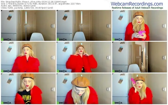 2024/12/28/stripchat-_alice_kitty-12-08-43
