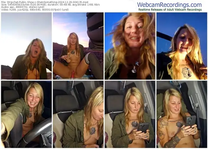 2024/12/29/stripchat-sheissomething-00-41-35