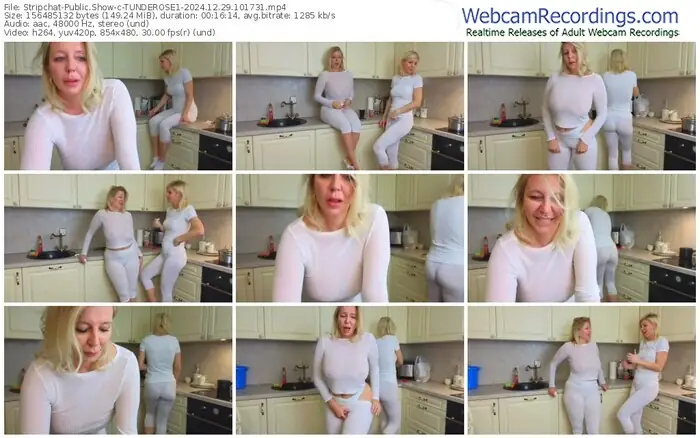 2024/12/29/stripchat-tunderose1-10-17-31