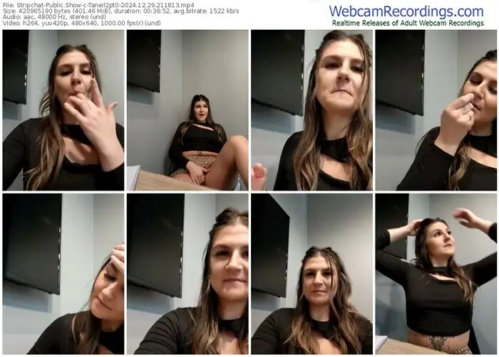 2024/12/29/stripchat-taneil2pt0-21-18-13