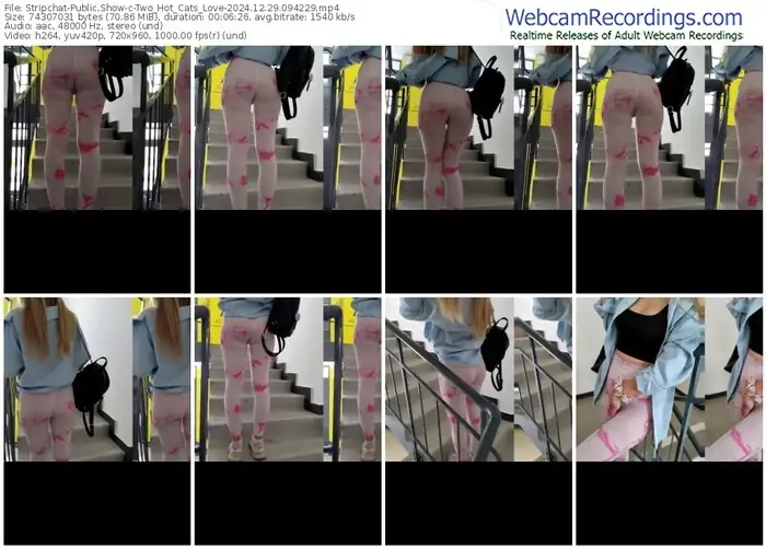 2024/12/29/stripchat-two_hot_cats_love-09-42-29