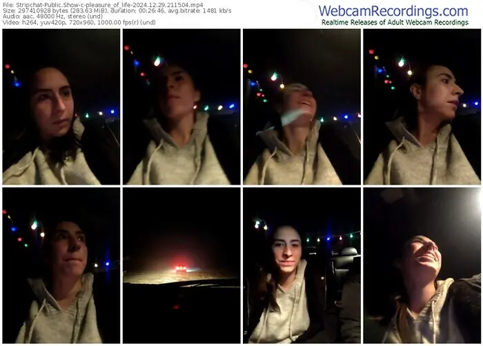 2024/12/29/stripchat-pleasure_of_life-21-15-04