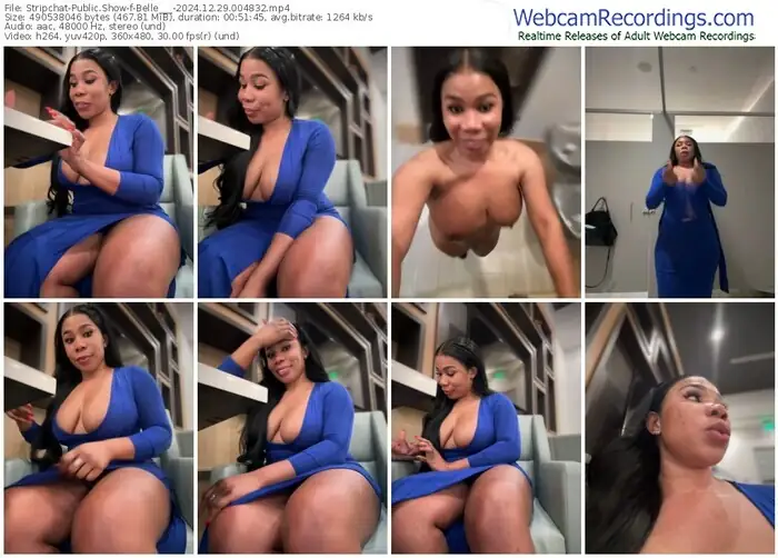 2024/12/29/stripchat-belle___-00-48-32