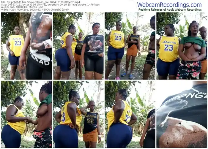 2024/12/29/stripchat-broan_me-08-54-07