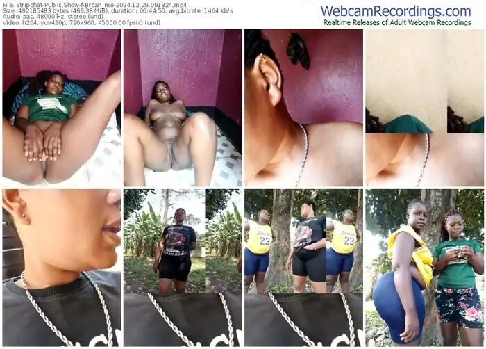 2024/12/29/stripchat-broan_me-09-18-24