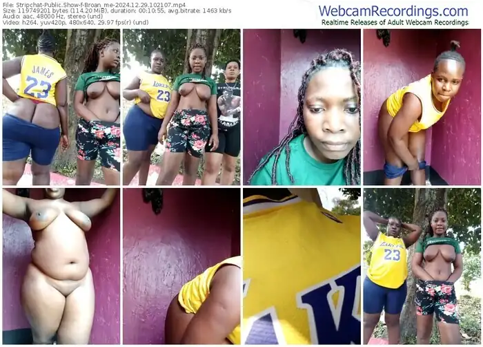 2024/12/29/stripchat-broan_me-10-21-07