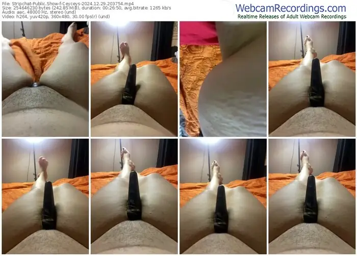 2024/12/29/stripchat-ceyceys-20-37-54