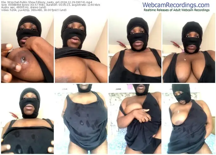 2024/12/29/stripchat-ebony_nasty_girl-09-07-41
