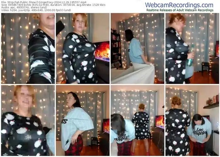 2024/12/29/stripchat-gingerfoxy-19-55-57