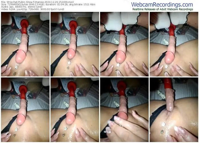 2024/12/29/stripchat-iitaniee-15-24-39