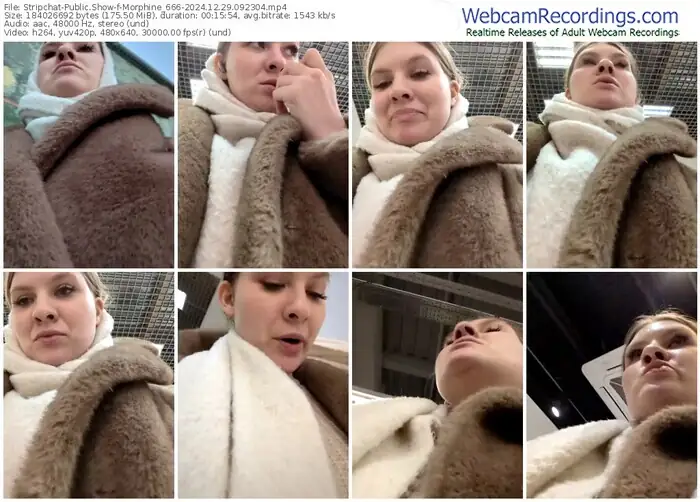 2024/12/29/stripchat-morphine_666-09-23-04